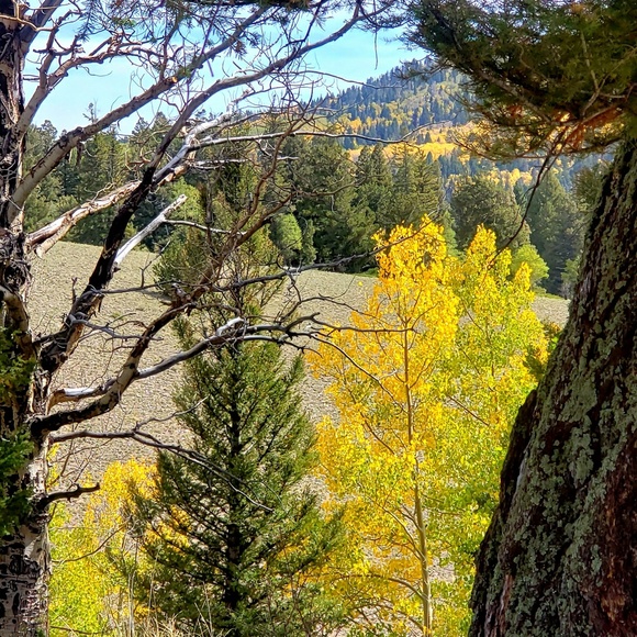 Meet your Posher, Renae - Picture 1 of 1